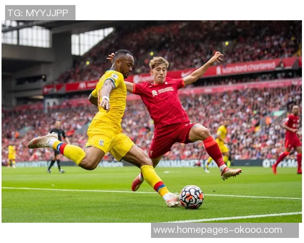 博德博恩与科隆的精彩对决分析及赛季前景展望